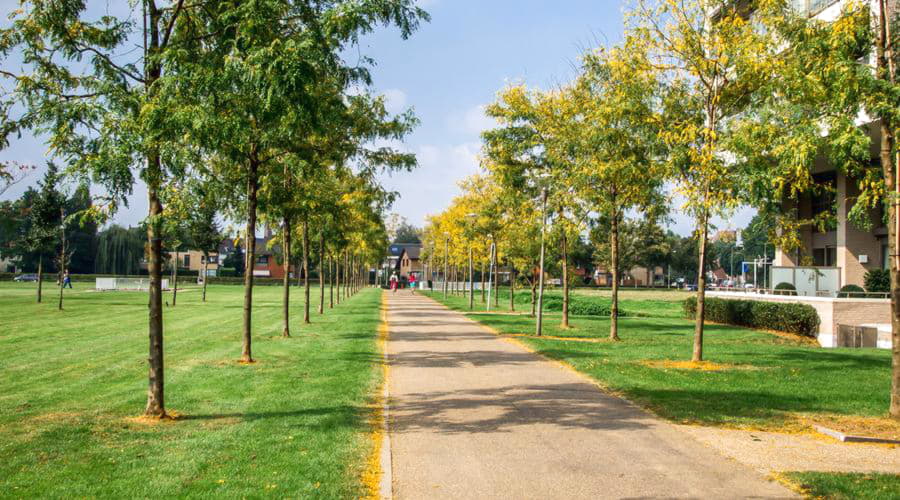 Las mejores ofertas de alquiler de coches en Sittard